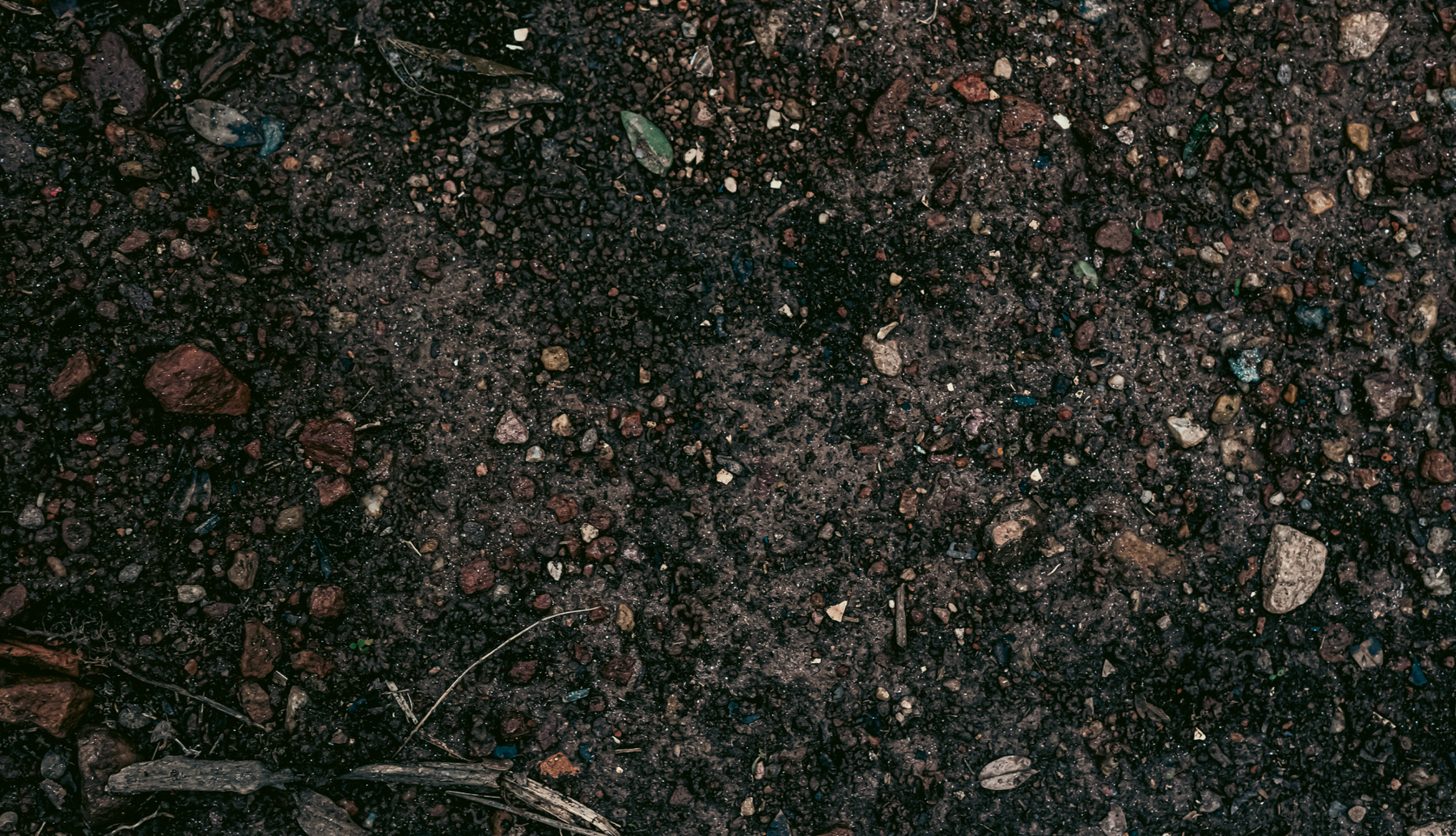 Slide image 7