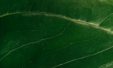 Mission image 1